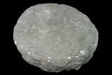 Keokuk Quartz Geode with Calcite - Missouri #144726-1